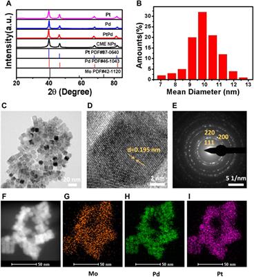 A One-Step Electrochemical Aptasensor Based on Signal Amplification of Metallo Nanoenzyme Particles for Vascular Endothelial Growth Factor